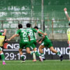 Avellino